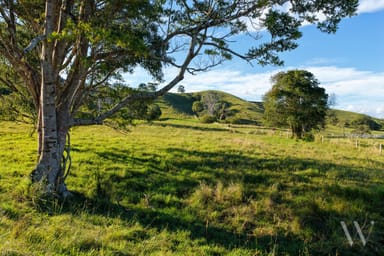 Property 29 Musavale Road, Eerwah Vale QLD 4562 IMAGE 0