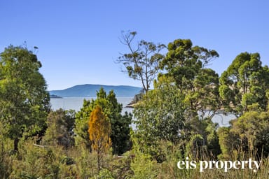 Property 4 Louis Rise, SURVEYORS BAY TAS 7116 IMAGE 0