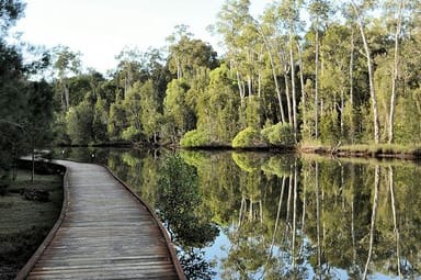 Property 36 The Esplanade, Coombabah QLD 4216 IMAGE 0