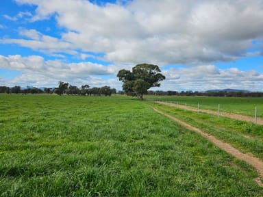 Property 1 Klinberg Road, Jindera NSW 2640 IMAGE 0
