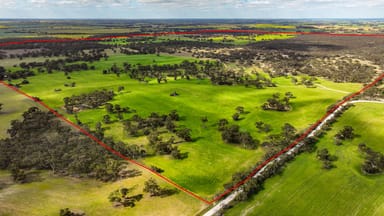 Property 644 Golf Course Road, BORDERTOWN SA 5268 IMAGE 0