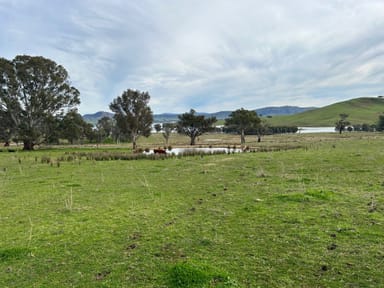 Property Lots 1-2 TP668245 Lake Road,, BETHANGA VIC 3691 IMAGE 0