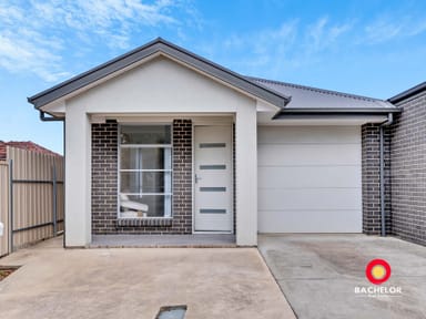 Property 13A Thistle Avenue, Klemzig SA 5087 IMAGE 0
