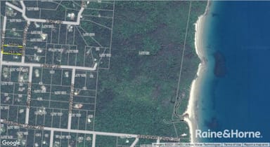 Property Lot 249 White Beech Road, Cow Bay, DAINTREE QLD 4873 IMAGE 0