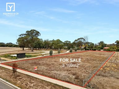 Property 8 Innishill Cct, Shepparton North VIC 3631 IMAGE 0