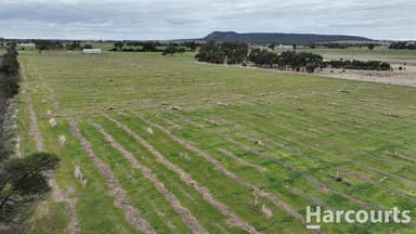 Property . Worthys Road, Tooan VIC 3409 IMAGE 0