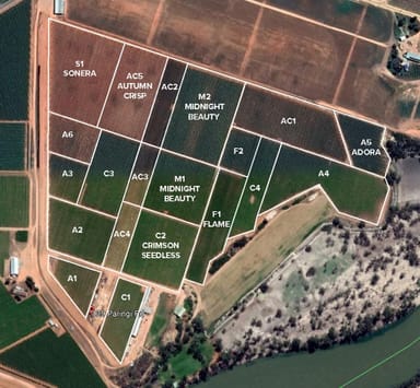 Property 139 Paringi Road, Paringi Via, Monak NSW 2738 IMAGE 0