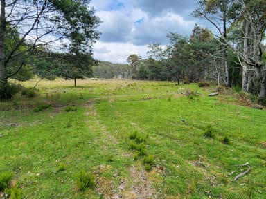 Property Lot Lot 1, 221 Irish Town Road, ST MARYS TAS 7215 IMAGE 0