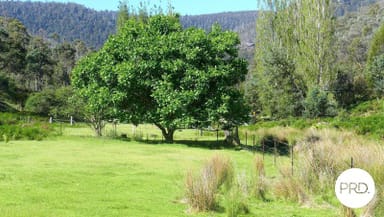 Property 99 McKenzies Road, Molesworth TAS 7140 IMAGE 0