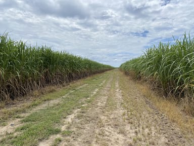 Property 78 School Road, Clare QLD 4807 IMAGE 0