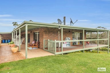 Property 213 Myrtle Mountain Road, Wyndham NSW 2550 IMAGE 0