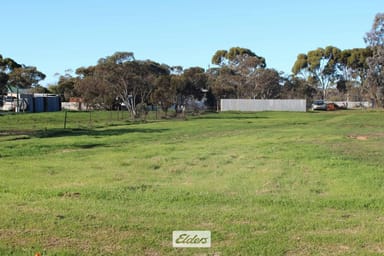 Property 74 Pioneer Street, Manangatang VIC 3546 IMAGE 0