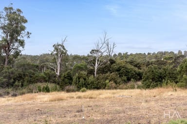 Property 31 Solis Rise, Swan Bay TAS 7252 IMAGE 0