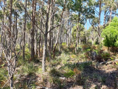 Property 756 Dam Road, SALTWATER RIVER TAS 7186 IMAGE 0