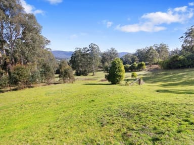 Property 1260 Maroondah Highway, Narbethong VIC 3778 IMAGE 0