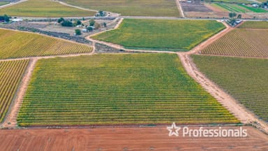 Property Lot 2/ Myall Street, Cardross VIC 3496 IMAGE 0