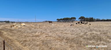 Property 94 Tingelup Road, Porongurup WA 6324 IMAGE 0