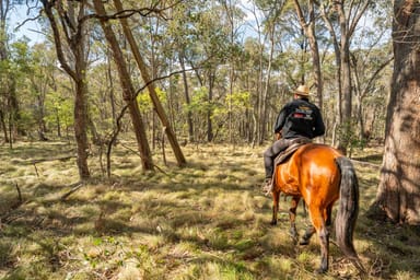 Property . Firebrace Track, BULLIOH VIC 3700 IMAGE 0