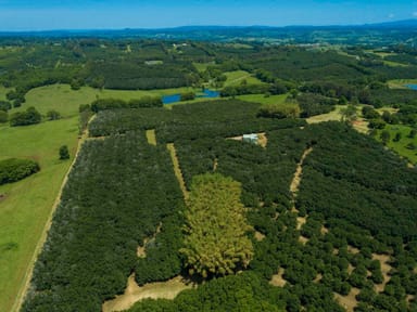 Property 148 Humpty Back Road, Mcleans Ridges NSW 2480 IMAGE 0