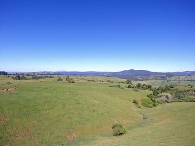 Property MILLAA MILLAA QLD 4886 IMAGE 0