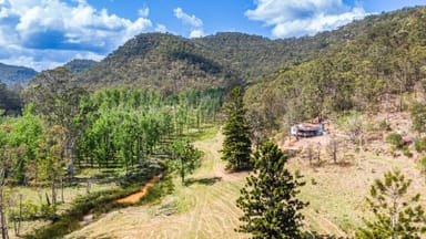 Property Wrights Creek NSW 2775 IMAGE 0