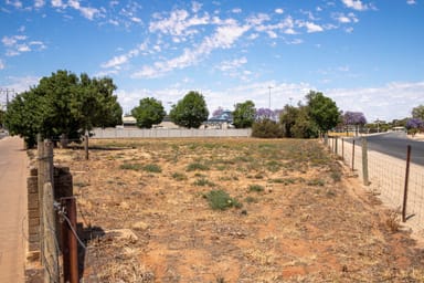 Property Section 48 Bookpurnong Terrace, Loxton SA 5333 IMAGE 0