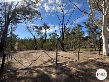 Property Lot 4 Tooma Road, Tumbarumba NSW 2653 IMAGE 0