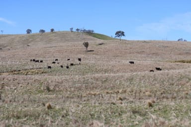 Property 336 Glenrock Road, Yass NSW 2582 IMAGE 0
