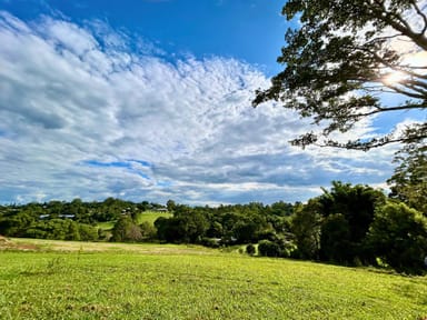 Property 210 Tallowwood Street, Maleny QLD 4552 IMAGE 0