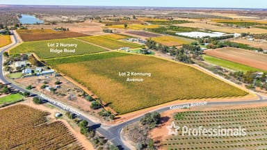 Property 225 Stewart Road, Red Cliffs VIC 3496 IMAGE 0