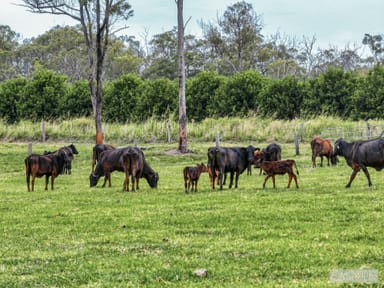 Property 82 Hunts Crossing Road, Moorland QLD 4670 IMAGE 0