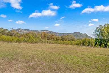 Property 22 Spring Harvest Close, POKOLBIN NSW 2320 IMAGE 0