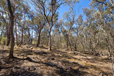 Property 199 Yandoit Township Road, Yandoit VIC 3461 IMAGE 0