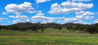 Property 204 Uamby Road, Gulgong nsw 2852 IMAGE 0