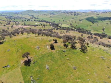 Property 1093 Burra Road, Gundagai NSW 2722 IMAGE 0