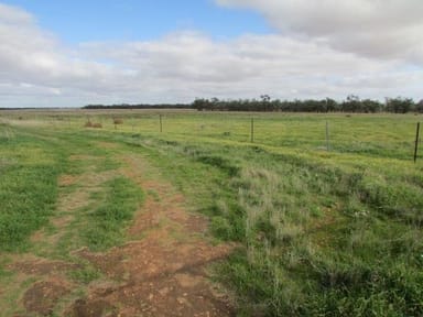 Property 1, Goyura East Rd, HOPETOUN VIC 3396 IMAGE 0