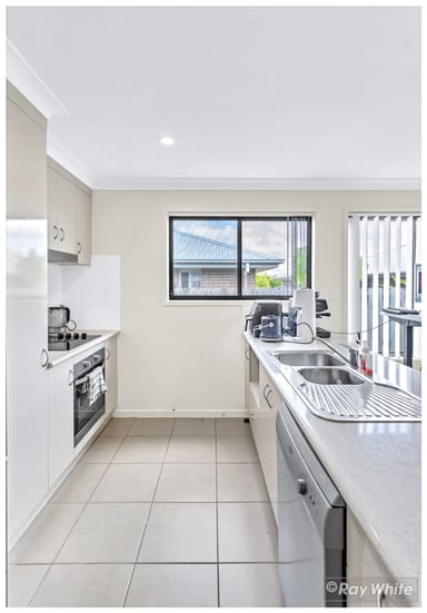 Property 3 Campus Street, Norman Gardens QLD 4701 IMAGE 0