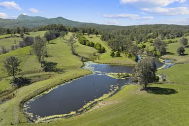 Property 703 Brays Creek Road, BRAYS CREEK NSW 2484 IMAGE 0