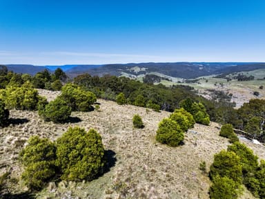 Property Lot, 129 Sheepstation Forest Road, OBERON NSW 2787 IMAGE 0