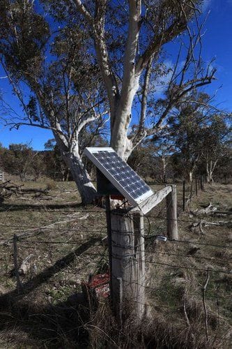 Property 1917 Limestone Road, Benambra VIC 3900 IMAGE 0