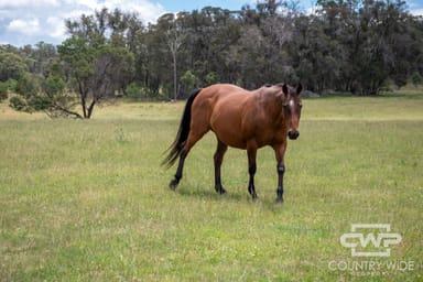 Property 1, - Watsons Road, PINKETT NSW 2370 IMAGE 0