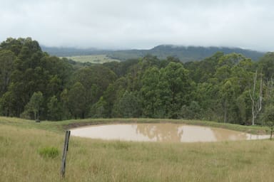 Property Bonalbo NSW 2469 IMAGE 0