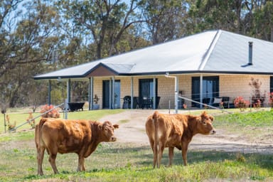 Property 964 Bruxner Way, Tenterfield NSW 2372 IMAGE 0