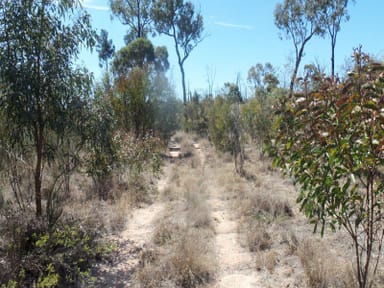 Property Lot 41 Bennetts School Road St, Tara QLD 4421 IMAGE 0