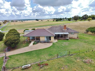 Property 58 Saleyards Road, Harden NSW 2587 IMAGE 0