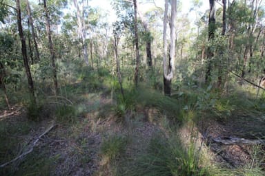 Property Lot 33 Cross Road, EULEILAH QLD 4674 IMAGE 0