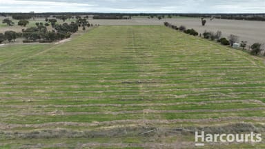 Property . Worthys Road, TOOAN VIC 3409 IMAGE 0