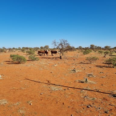 Property Koonmarra Station, Meekatharra WA 6642 IMAGE 0