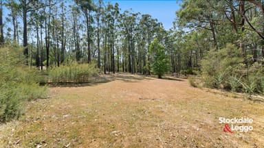 Property 130 Todds Road, Boolarra VIC 3870 IMAGE 0