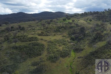 Property Kingstown NSW 2358 IMAGE 0